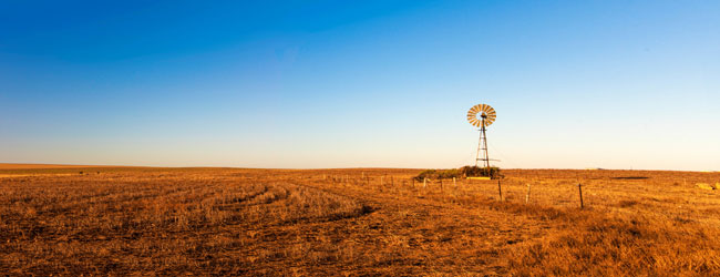 iStock-952841088