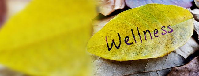 iStock-1025934768