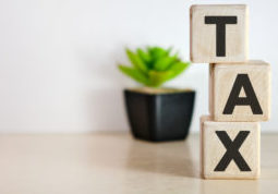 Tax - text on wooden cubes, on wooden background. flower in a pot, all that's left after taxes