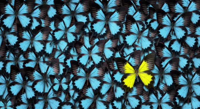 Standing out from the crowd concept
