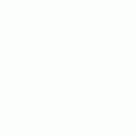 24066-Riskinfocus-25-DMO-800×200
