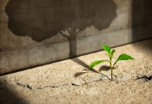 2026 Risk New Business Optimism