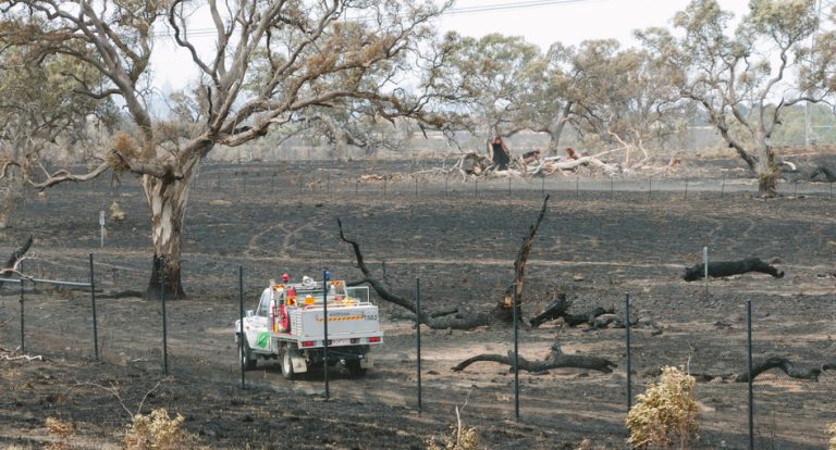 Premium Waiver for Victims of Victorian Bushfires